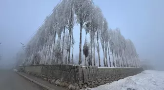 Hakkari'de soğuk hava ve sis etkili oldu