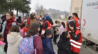 Havza'da velilerden 186 ünite kan bağışı