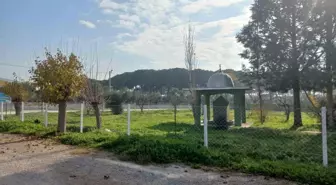 Kızılcapınar Camii'nin çevre düzenlemesi tamamlandı