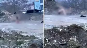 Köprü altında akıllara durgunluk veren görüntüler