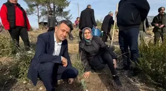 Kozan'da şehitler anısına fidan dikildi