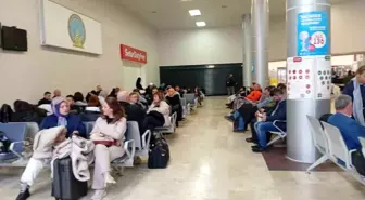 Samsun'da yolcu uçağı martı sürüsüne çarptı