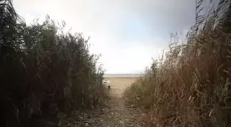 SAPANCA GÖLÜ ALARM VERİYOR - Sapanca Gölü'nde bütün hesaplar 'sürdürülebilir koruma' üzerine