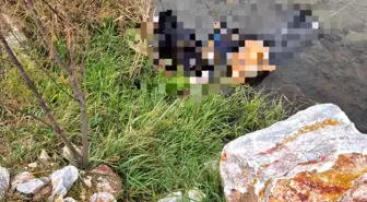 Trenin geçtiği köprüde hayatını kaybetti