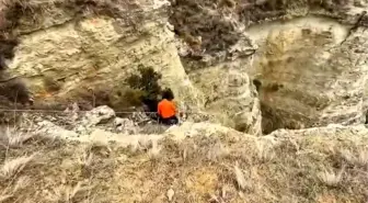 Uçurumda mahsur kalan köpeklerini halatla inerek kendi imkanlarıyla kurtardılar