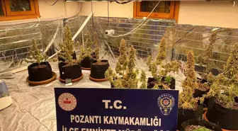 Villada uyuşturucu yetiştirmişler: Torbacı 'sevgililer' yakalandı, 4 kilo uyuşturucu ele geçirildi