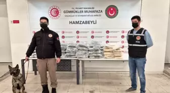 Yeni yıl öncesi sınır kapılarında dev uyuşturucu operasyonu
