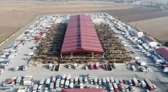 Çorum'da kapalı olan hayvan pazarları 29 Aralık'ta yeniden açılacak