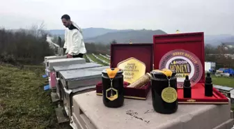 Dededen gelen arıcılığı profesyonelleştirdi, ürettiği bal dünyada zirveye çıktı