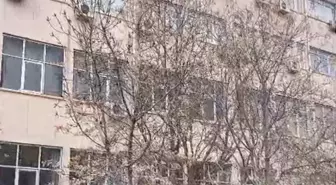 Dicle Üniversitesi'nde intihar girişiminde bulunan şahıs çatıdan indirildi