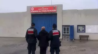 Hapis cezasıyla aranan şahsı jandarma yakaladı