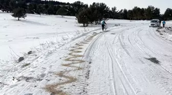 Kars'ta yaban hayvanları için karla kaplı doğaya yiyecek bırakıldı