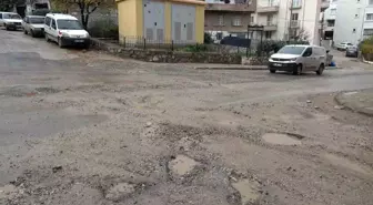 Milas'ta yağış sonrası yollar çamura döndü
