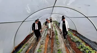 Tarım lisesinde üretilen mantarın hasadı yapıldı