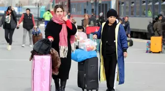 Van'a yılbaşı için İranlı akını