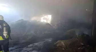 Vize'de palet fabrikasının deposunda yangın