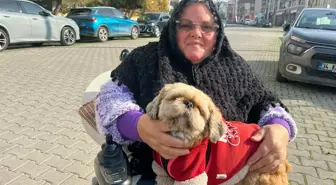 Yürüme yetisi sonrası eşini de kaybetti; can dostu 'Fıstık' ile hayata tutundu