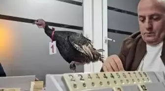 48 yıllık gelenek bozulmadı: Amatör futbol kulübünden 'baba hindi' ödüllü okey turnuvası