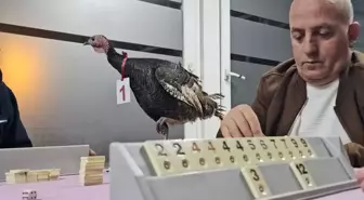 48 yıllık gelenek bozulmadı: Amatör futbol kulübünden 'baba hindi' ödüllü okey turnuvası