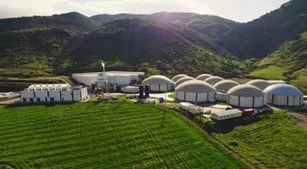 ARF Bio'nun halka arzına 4 kata yakın talep geldi