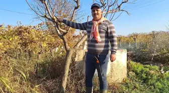 Çiftçinin mesaisi kışın da sürüyor