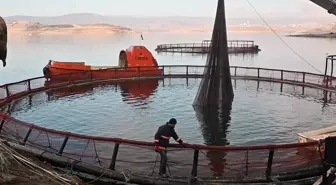 Denizi olmayan ilde üretilip Rusya ve Japonya'ya satıyor