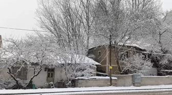 Erzurum'da soğuk hava ve kar yağışı etkili oluyor (2)