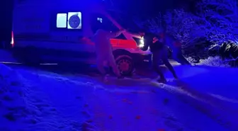 Hasta taşıyan ambulans yoldan çıktı; kamyonet sürücüsü kurtardı