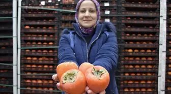 Kadın girişimci devlet desteğiyle kurduğu soğuk hava deposunda köylülerin meyvelerini saklıyor