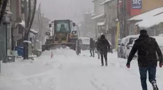 Karlıova'da kar yağışı etkili oldu
