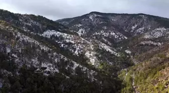 Kızılcahamam'da kar yağışı etkili oldu: Soğuksu Milli Parkı'nda kartpostallık manzaralar oluştu