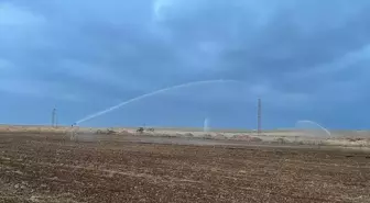 Konya Ovası'nda 'iklim dostu' tarım modeli hayata geçiriliyor