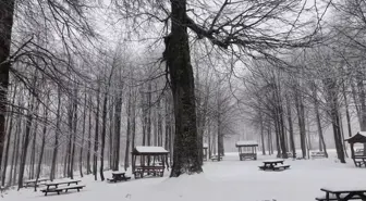 Kuzuyayla Tabiat Parkı'nda kar manzarası