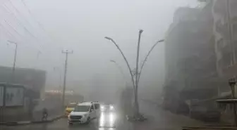 Mardin'de yağmur ve sis etkili oldu