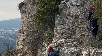 Mersin'de uçurumdaki kayalıklarda mahsur kalan 2 keçi kurtarıldı