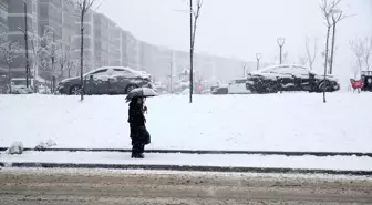 Muş'ta kar ulaşımı aksattı