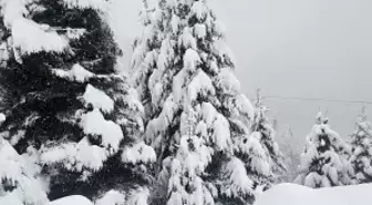 Rize'nin yüksekleri beyaza büründü