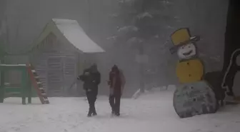 Sakarya, Kocaeli, Düzce, Bolu ve Zonguldak'ta kar yağışı etkili oldu