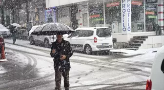 Solhan'da kar yağışı etkili oldu