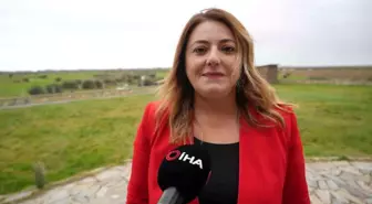 Türkiye'de manda popülasyonu tehdit altında