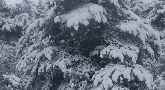 Yeşilyurt'ta kar yağışı etkili oldu