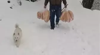 Yolu kar nedeniyle kapanan köyüne ekmek taşıdı