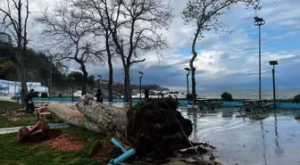 Zonguldak ve Düzce'de kuvvetli rüzgar hayatı olumsuz etkiledi