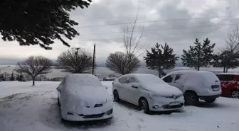 Ahlat kar yağışıyla beyaza büründü