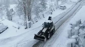 Bahçesaray'da etkili olan kar yaşamı olumsuz etkiledi