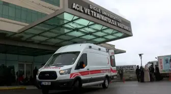 Cezaevinden çıktı, birlikte yaşadığı kadını boğup boş araziye gömdü