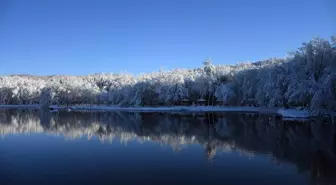 Düzce Korugöl Tabiat Parkı karla kaplandı