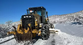 Elazığ'da kar nedeniyle 108 köy yolu ulaşıma kapandı