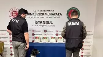 Gümrüklerde 1 milyar 26 milyon lira değerinde uyuşturucu ele geçirildi