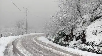 Karasu'nun yüksek kesimleri karla kaplandı